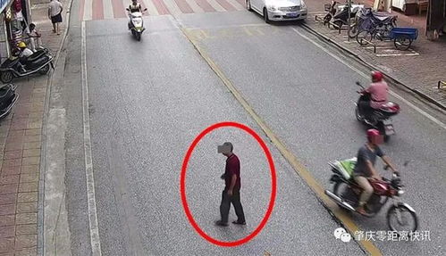 肇慶行人亂穿馬路遭曝光，道路設施問題引發(fā)關注